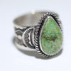 Sonoran Ring by Sunshine Reeves-11