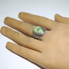 Sonoran Ring by Sunshine Reeves-11