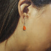 Shell Earrings by Santo Domingo