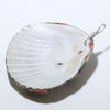 Shell Pendant by Doris Coriz