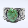 Sonoran Ring by Arnold Goodluck- 11.5