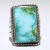 Sonoran Ring by Andy Cadman- 11