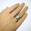 Sonoran Ring by Sunshine Reeves- 8.5