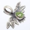 Sonoran Pendant by Derrick Cadman