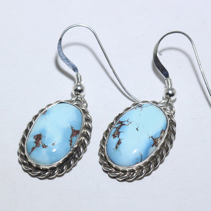 Golden Hill Earrings by Navajo