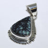 New Lander Pendant by Fred Peters