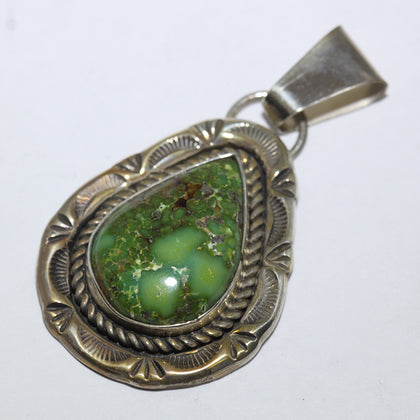 Sonoran Pendant by Fred Peters