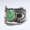 Sonoran Ring by Delayne Reeves- 10.5