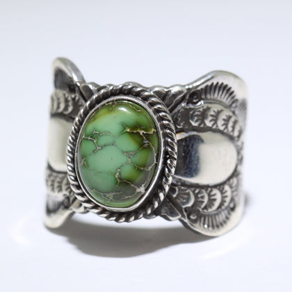 Sonoran Ring by Delayne Reeves- 9.5