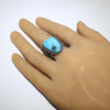 Blue Diamond Ring by Steve Arviso- 10