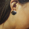 Shell Earrings by Pauline Nelson